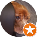 Edmond Lee profile picture