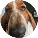 markskirlb profile picture